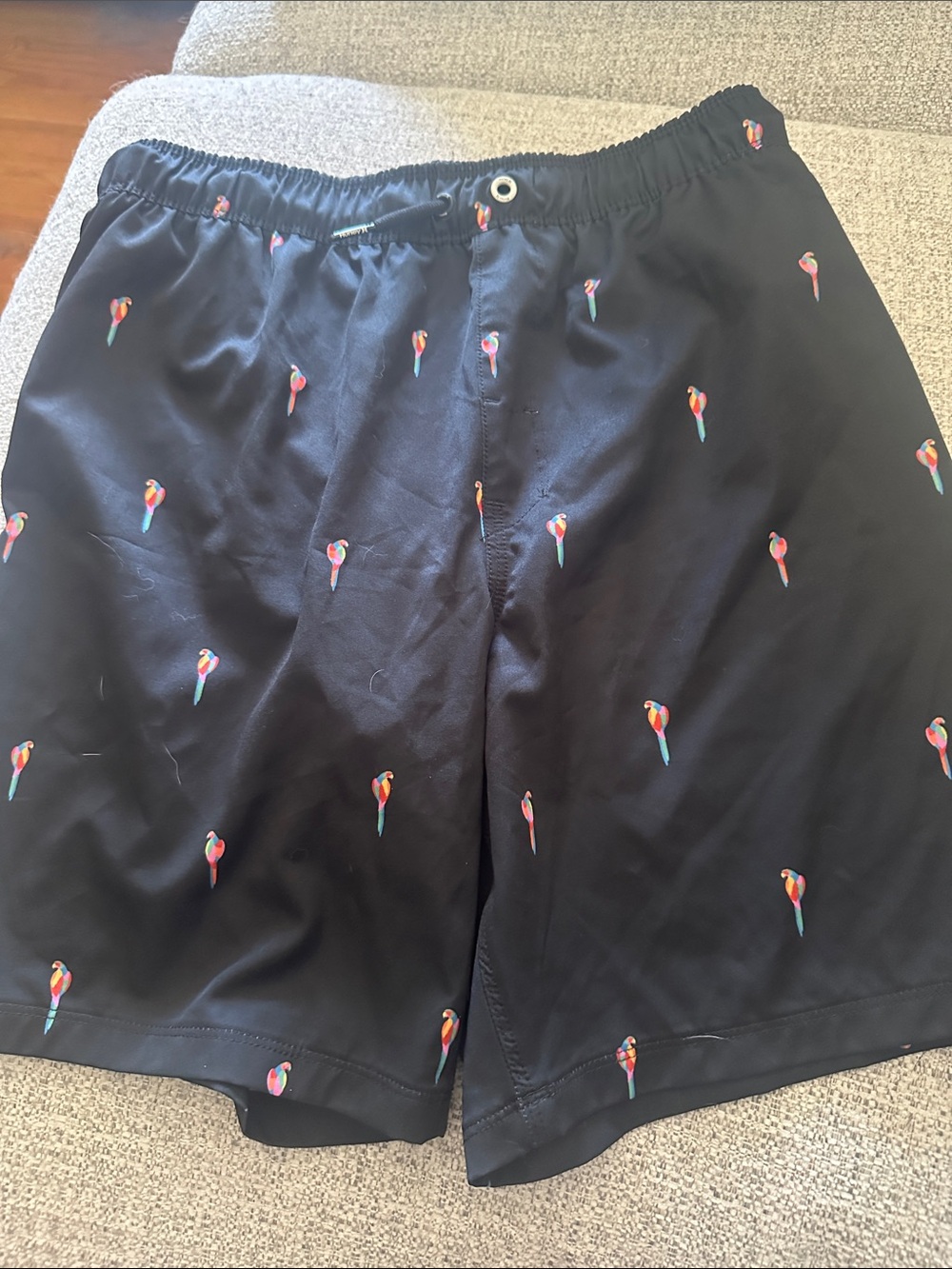 Parrot swim trunks